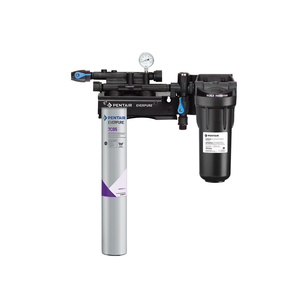 Everpure Kleensteam II Single Water Filter EV979721