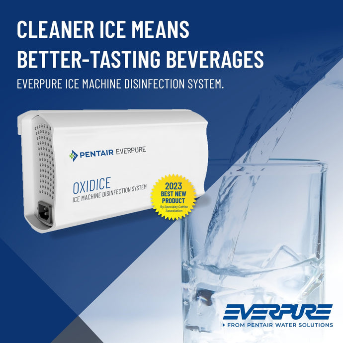 Everpure Oxidice Ozone Disinfection 120V CD385A - Efilters.ca