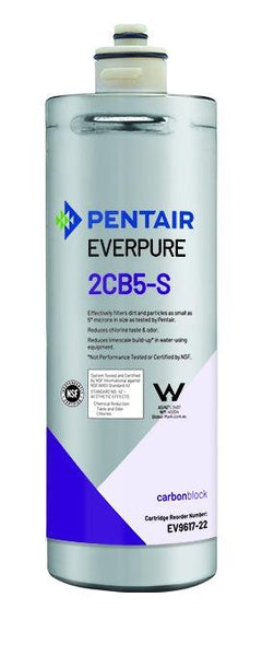 Filtro a cartuccia EVERPURE 2CB5 EV9617-22 - Evabuna